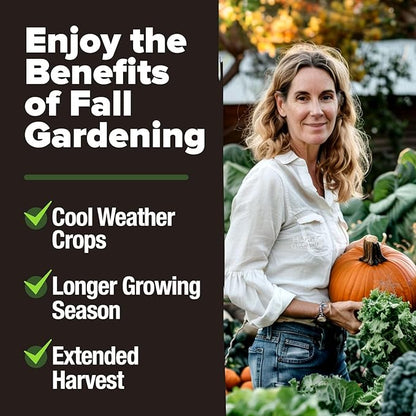 HOME GROWN 12 Fall Vegetable Seeds 9600+ Heirloom Seeds for Fall & Winter Planting – Beets, Broccoli, Cabbage, Kale, Onion, Pumpkin, Turnip, Lettuce, Peas & More for Home Garden