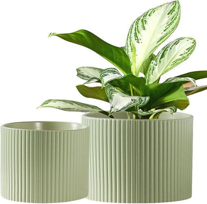 Ceramic Plant Pots, 8.1 + 6 Inch Planters for Indoor Plants, Modern Flower Pot for Plant with Drainage, Medium Cylinder Flower Pots for Indoor/Outdoor, House Plants, Matte Green