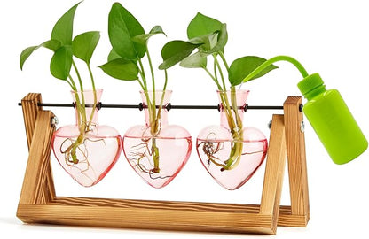 XXXFLOWER Plant Terrarium Propagation Stations Unique Gifts for Women Wife Mom Plant Lovers 3 Heart Shaped Vases for Hydroponics Home Garden Office Decor(Plants NOT Included)