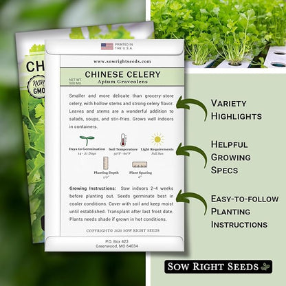 Sow Right Seeds - Chinese Celery Seeds for Planting - Non-GMO Heirloom Packet with Instructions to Plant and Grow a Home Vegetable Garden - Culinary and Compact Herb, Abundant Stalks (3)