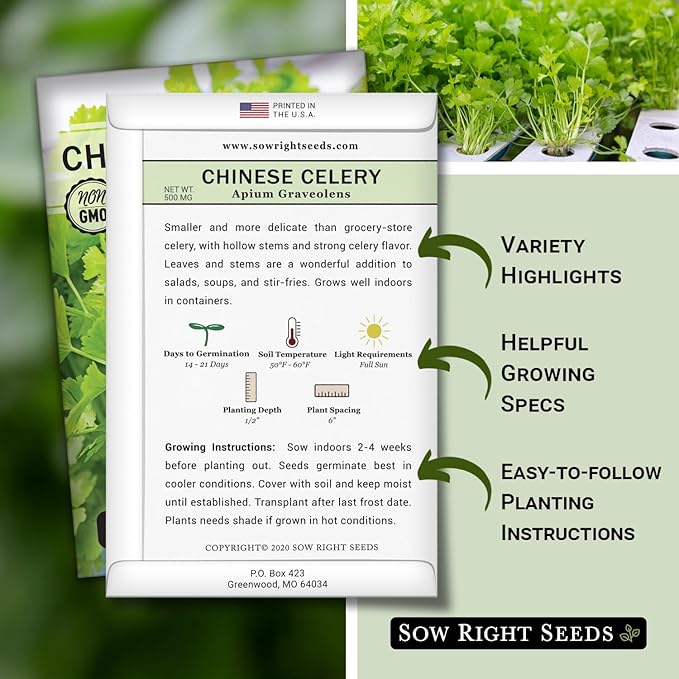 Sow Right Seeds - Chinese Celery Seeds for Planting - Non-GMO Heirloom Packet with Instructions to Plant and Grow a Home Vegetable Garden - Culinary and Compact Herb, Abundant Stalks (2)