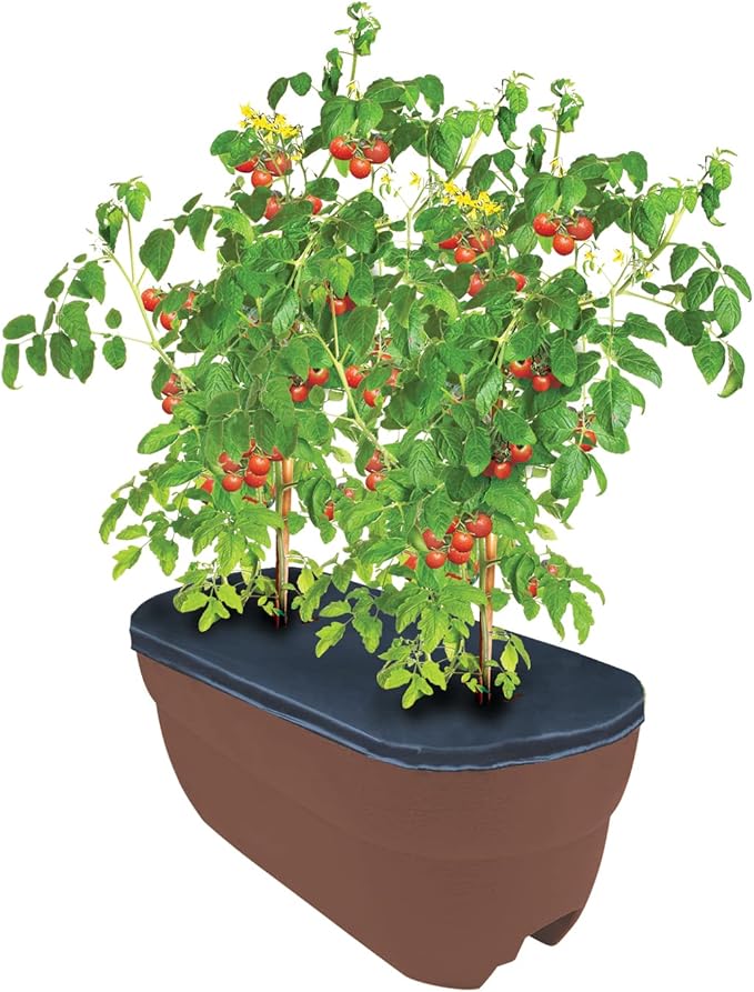 Emsco Group 2435-1 Bloomers Self-Watering 24" Weatherproof Resin 6" Railings – Brown Rain Planter Grow Box, Earth