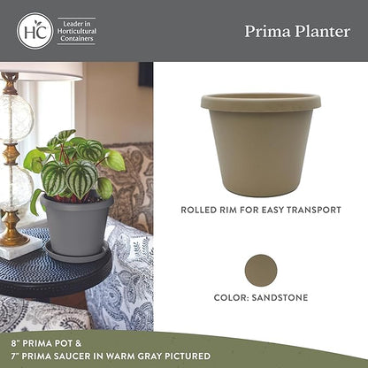 The HC Companies Prima Round Plastic Plant Pot w/Rolled Rim - Lightweight & UV Resistant Flower Pot for Herbs & More - Outdoor & Indoor Plant Pots w/Drainage (10 inch, Sandstone, Pack of 1)