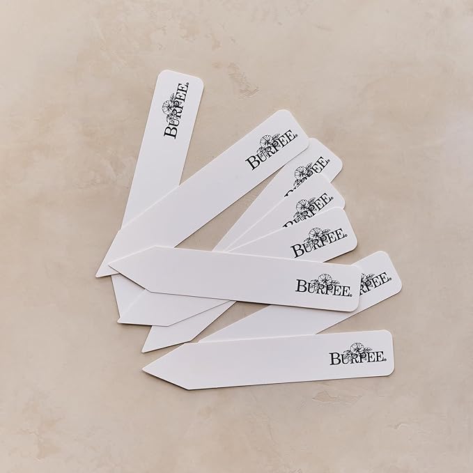 Burpee 'The Declaration Bouquet' Seed Collection – 5 Seed Flower Varieties Celebrating The Declaration of Independence and The American Revolution with Plant Labels & a Commemorative Keepsake Card