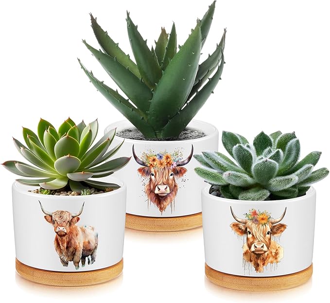 3 Pcs Decor Gift for Women Planter Ceramic Gift Animal Plant Pot with Bamboo Tray for Office Home Farm House Bathroom Kitchen Christmas Decorations (No Plants Included) (Highland Cow)