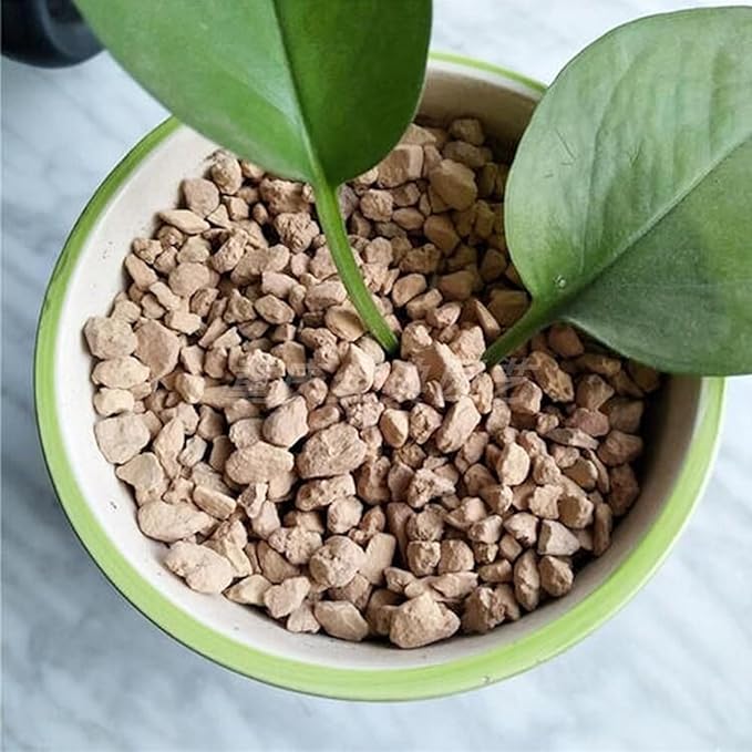2.5lb Premium Diatomite Rocks Soil Amendments Diatomaceous Earth(DE) Soil Additive for Succulent, Cacti, Indoor & Outdoor Container Plants- Fast Drainage, No Root Rot and Promotes Root Growth