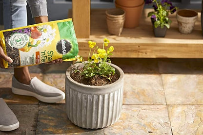 Miracle-Gro Shake 'N Feed All Purpose Plant Food Refill Bags, Plant Fertilizer, 8 lbs. (4-Pack)