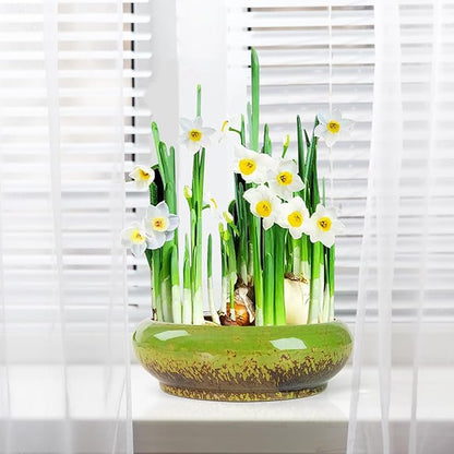 Lotus Bowl Planter - 7.3 Inch Large Lotus Flower Bowl for Water Plants, Ceramic Hydroponic Planter Water Lily Bowl for Planting Aquatic and Indoor Succulent Plants and Bonsai