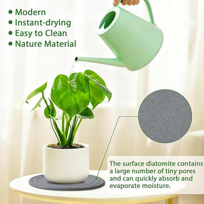 Plant Saucers for Indoors, 12 Pack 4 6 8 Inch Quick Drying Diatomite Plant Drip Water Catcher Trays for Pots, Diatomaceous Earth Planter Drainage Saucers Plates to Catch Water for Flower, Stone Gray