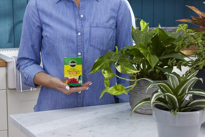 Miracle-Gro Water Soluble All Purpose Plant Food 8 oz., 2-Pack