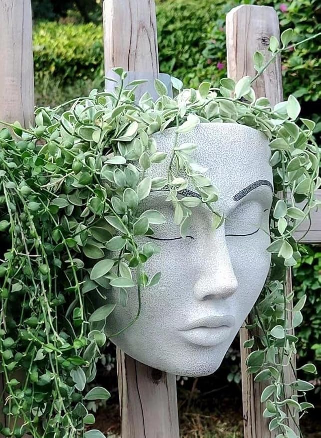 Coolboy Face Planter for Indoor & Outdoor Wall Decoration, Unique Face Flower Pot