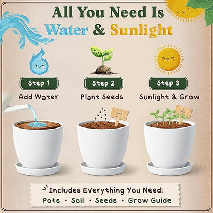 Seedboy Organic 10 Herb Garden Starter Kit for Planting Indoor or Outdoor, Non-GMO USDA Certified Seed, Cool Unique Gift for Gardeners, Mom Birthday, Friends, Plant Lovers (Herb Garden Starter Kit)