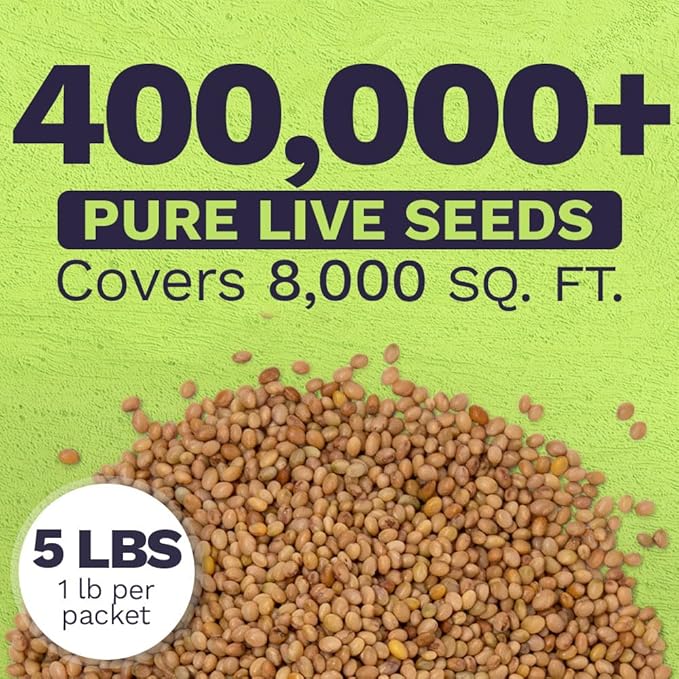 Crimson Clover Seeds for Planting – Bulk 5 Pounds – Over 400,000 Open Pollinated Non-GMO Seeds – Trifolium incarnatum