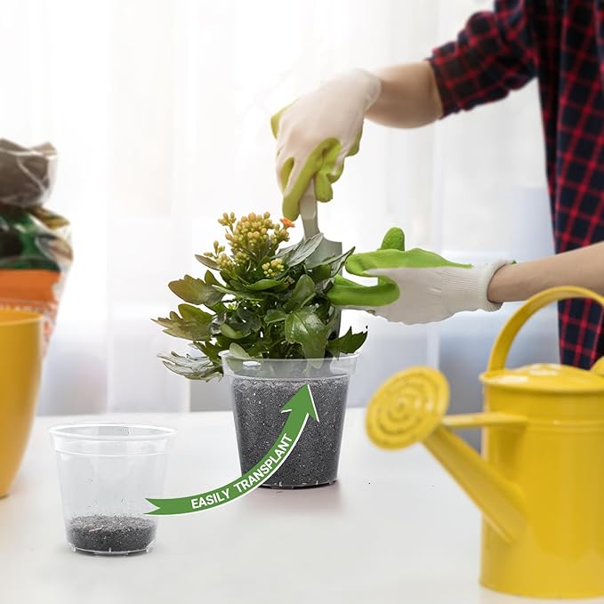 GREANER 6 Inch Nursery Pots, 15 Packs Clear Seeding Pots, Reinforced Plastic Nursery Pots with Drainage Holes, Transparent Garden Pots Planter for Indoors Outdoor Plants(20 Pcs Plant Labels)