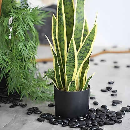 Black Pebbles for Indoor Plants, 3/8 inch Small Bag Stones, Decorative River Rocks for Succulent Potted Plant, Vase and Outdoor Landscaping Garden(16 oz)