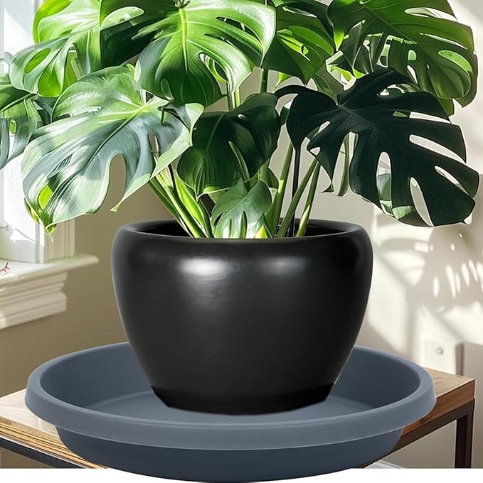 Plant Saucer Round 10 Inch 2 Pack Thickened Plastic Drip Trays for Indoor Plants and Outdoor Pots