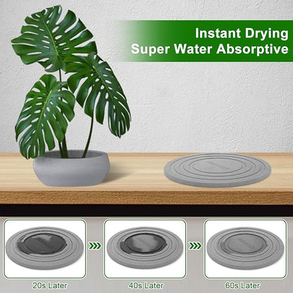 2 Pack of 8 Inch Plant Saucers for Indoors, Diatomaceous Earth Plant Trays for Indoors No Holes, Plant Trays for Pots, Stone Quick Drying Tray Plant Plates to Catch Water Indoor Plants and Absorbent