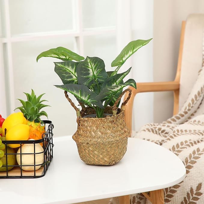 Qunclay 4 Pcs Woven Seagrass Baskets Belly Basket Folding Boho Natural Plant Pot with Handles Round Decorative Wicker Large Indoor Planter for Home Outdoor Tree Planters Decor (Xs,7.9''dx6.3''h)