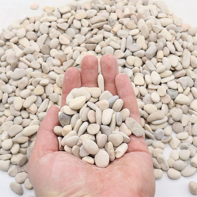 Rocks - Cream White Decorative Pebbles, 3/8 Inch - 10 lbs. Landscaping and Garden Stones, Suitable for Succulents and Pots