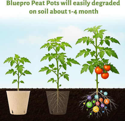 120 Packs 3.15 Inch Peat Pots, Biodegradable Pots for Seedlings with Drainage Holes, Herb Seed Starter
