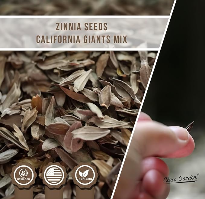 Zinnia Seeds - California Giants Mix - 4000 Seeds - Mixed Colors and Large Blooms, Heirloom Non-GMO USA Grown, Excellent for Pollinators, Annual - Vibrant Flowers for Any Home Garden
