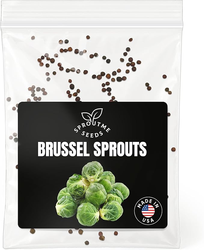 Brussels Sprouts Catskill Seeds for Planting – 200+ Non-GMO Heirloom Mini Cabbage Seeds (Brassica oleracea VAR. gemmifera)