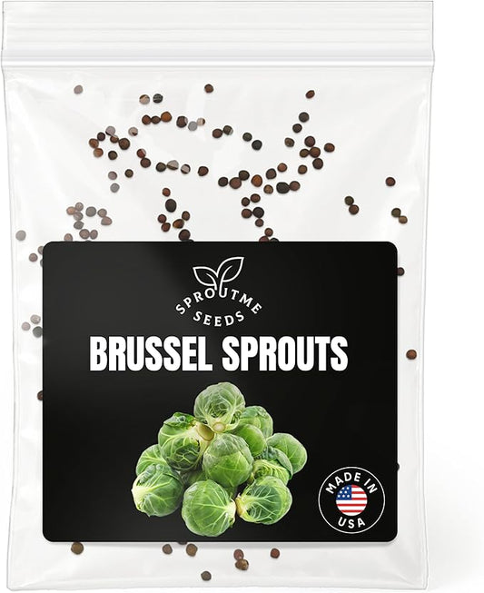 Brussels Sprouts Catskill Seeds for Planting – 200+ Non-GMO Heirloom Mini Cabbage Seeds (Brassica oleracea VAR. gemmifera)