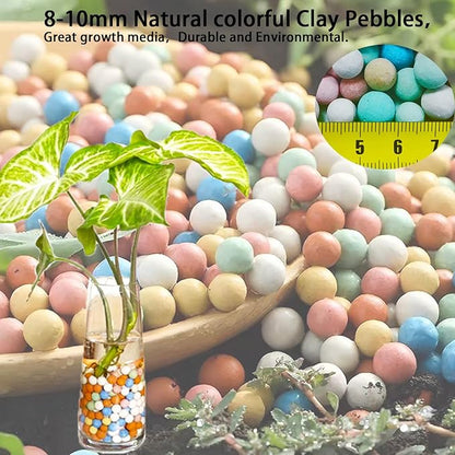 Colorful Leca Clay Pebbles 2LBS for Plants 8-10mm Natural Organic Leca Balls Indoor Potting Garden Soil for Orchid, Succulents, Hydroponics, Decoration, Drainage (Colorful-1, 2 lbs)