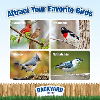 CountryMax Backyard Seeds Safflower for Birds 20lbs - Premium Cardinal Bird Seed for Outside Feeders, Medium Bag of Wild Bird Food