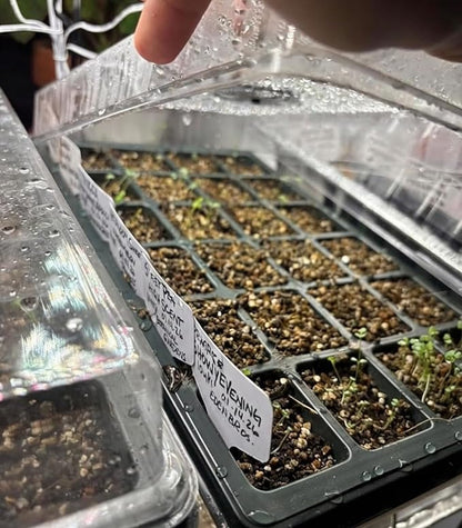 10-Pack XL Seed Starter Tray with Dome – 24 Large 2" Cells per Seedling Starter Trays (Total 240 Cells), Seed Growing Tray with Humidity Lids for Greenhouse Home Plant Propagation