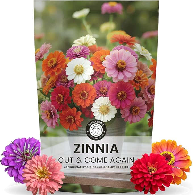Zinnia ‘Cut and Come Again’ – 16,000 Seeds for Planting – 4 Ounce Pouch