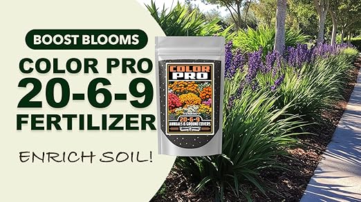 Fertilizer Commercial Grade | Color Pro 20-6-9 | 1 Pound | Custom Professional Mix Blend | Controlled Release for Annuals & Groundcovers | 6 Month Nutrition | Balanced NPK Formula with Micronutrients