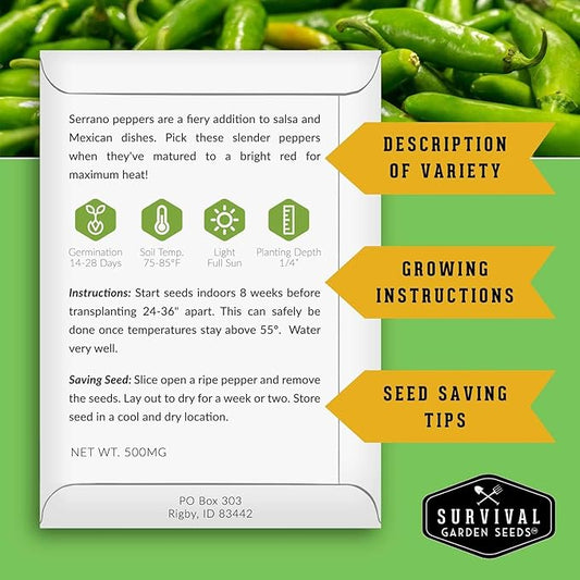 Mexican Serrano Pepper Seeds for Planting | Fresh Hot Chili & Green Hot Pepper Seeds – Heirloom Non-GMO Variety for Sauce, Salsa & Pickling – Survival Garden Seeds (5 Packs)