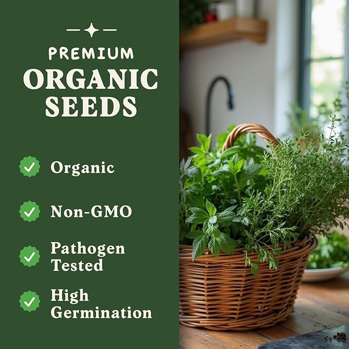 Seedboy Organic Non GMO 10 Herb Variety Pack: Basil, Cilantro, Mint, Oregano, Parsley, Thyme, Chives, Dill, Sage, Rosemary for Planting Indoor and Outdoor, USDA Certified (10 Herb Variety Pack)