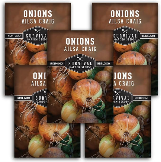 Ailsa Craig Onion Seeds for Planting – Long Day Yellow Sweet Onions with Jumbo Bulbs & Mild Flavor – Heirloom, Non-GMO, Open-Pollinated Variety – Survival Garden Seeds (5 Packs)