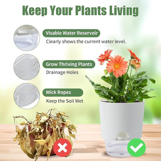 6 Inch Self Watering Planter Pots for Indoor Plants, 3 Packs African Violet Pots with Wick Rope and Visible Reservoir Self Watering Planter for Herb, Houseplants