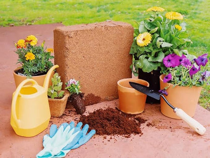 Envelor Organic Coco Coir Brick 10 Lbs. Coir Block Coconut Fiber Growing Medium Potting Soil Mix Coco Peat Media Coir Pith Indoor Outdoor Planters Vegetable Garden Beds