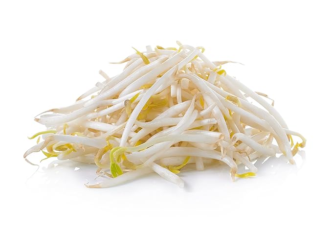 Todd's Seeds - Bundled Wheatgrass Seeds, 1Lb & Mung Bean Sprouting Seeds, 1Lb, Total of 2Lbs