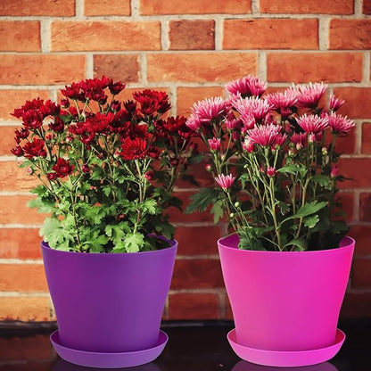20 Pack Plastic Planters 5.5 Inch Plant Flower Pot with Trays, Seedlings Nursery Pots Planter Flower Container Seed Pots for Seedling, Transplanting, Cutting, Assorted 10 Colors