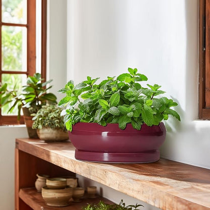 Bonsai Pots 10 Inch - Ceramic Succulent Planters for Indoor Plants Outdoor, Round Succulent Pots with Drainage Hole and Tray, Shallow Planter, Room Decor, Gifts for Plant Lovers, Wine Red