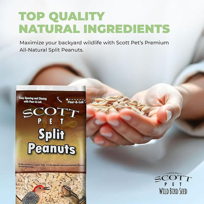 Scott Pet Wild Bird Seed, Peanuts Split (No Shell), 8 lbs Bag, Great Source of Protein and Fiber, Peanuts for Outside Wild Birds