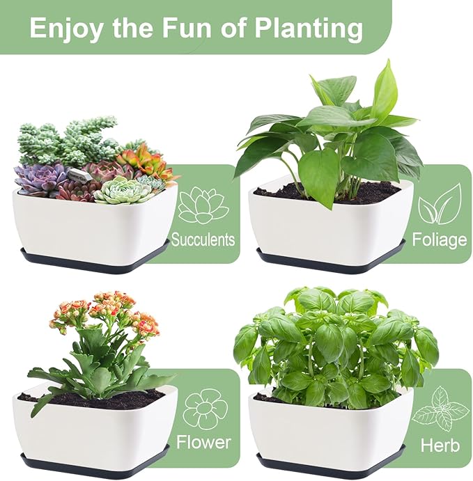 Succulent Pots 6 Inch Shallow Herb Planters with Drainage Hole - 4 Packs Cactus Planter for Home Office Garden Plants Pot Present - Plants Not Included (Off White)