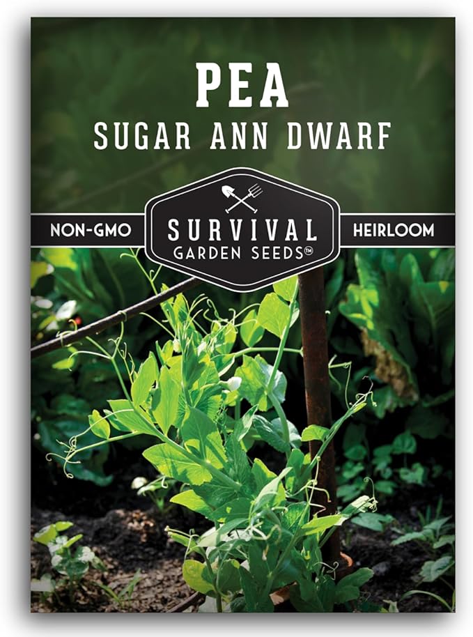 Sugar Ann Dwarf Pea Seeds for Planting - Compact Sugar Snap Peas for Containers and Small Gardens, High Yield Heirloom Open Pollinated Non-GMO - Survival Garden Seeds (1 Pack)