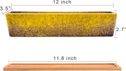 Succulent Pots - Large Succulent Planter Pots with Drainage, 12 Inch Long Rectangle Bonsai Pot with Bamboo Tray Shallow Ceramic Cactus Flower Planter Window Box for Home Garden Decor (Yellow)