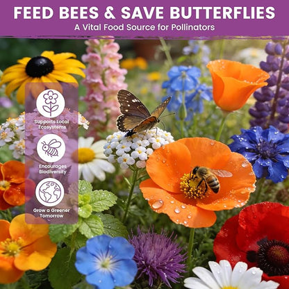 Wildflower Seeds Bulk Mix - 10,000+ Non-GMO Perennial & Annual Seeds - Texas, California & Florida Native Wildflower Seeds for Hummingbirds, Butterflies, & Cut Flowers - Cosmos, Throw and Grow
