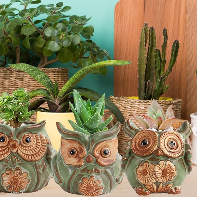 TOPZEA 10 Pack Succulent Planter Pots with Drainage Hole, Cute Owl Ceramic Small Planters Animal Tiny Flower Plant Pots Containers Indoor for Cactus, Herb, Home, Garden, Windowsill, Coffee Table Decor