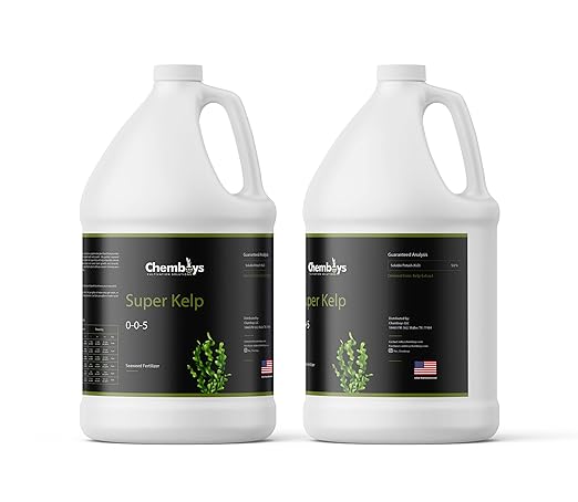 Chemboys Super Kelp Liquid Seaweed Fertilizer - Plant Food Supplement for Growth, Bloom & Yield Boost - Concentrate Garden Fertilizer - 1 Gallon
