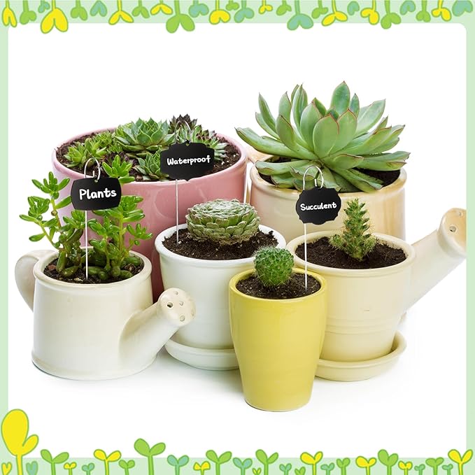 Youyole 50 Pack Acrylic Plant Labels Outdoor Black Garden Markers with Pen Weatherproof Plant Tags for Seedlings Herbs Flowers Vegetable Greenhouse Gifts