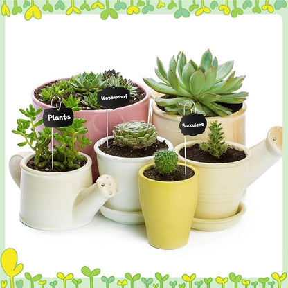 Youyole 50 Pack Acrylic Plant Labels Outdoor Black Garden Markers with Pen Weatherproof Plant Tags for Seedlings Herbs Flowers Vegetable Greenhouse Gifts