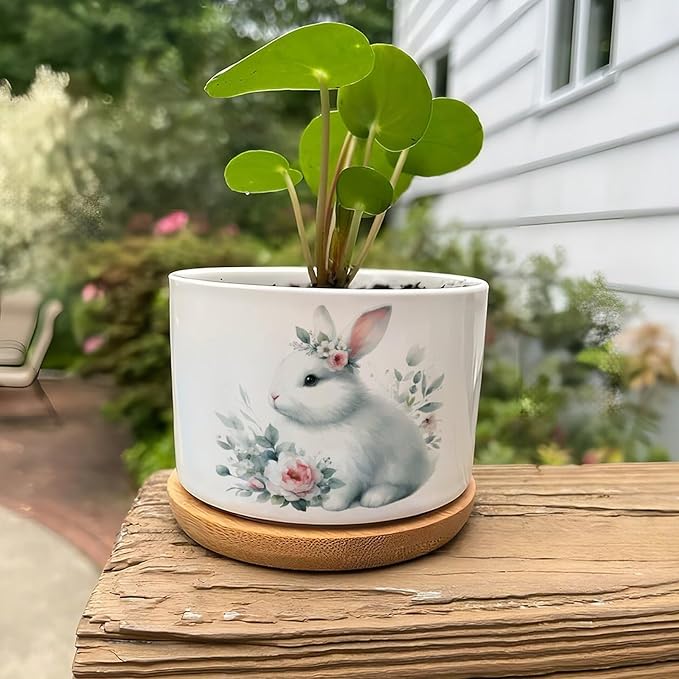DreamAutumn Cute Easter Bunny Rabbit Ceramic Flower Pots,Gardening Plant Pot with Drainage Holes and Saucers Round Ceramic Pots for Indoor Plants Succulent Herbs Cactus Pots for Dad Papa Grandpa